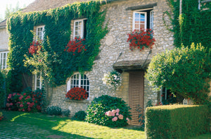 Ambiance Rideau de porte en olives de buis du Jura